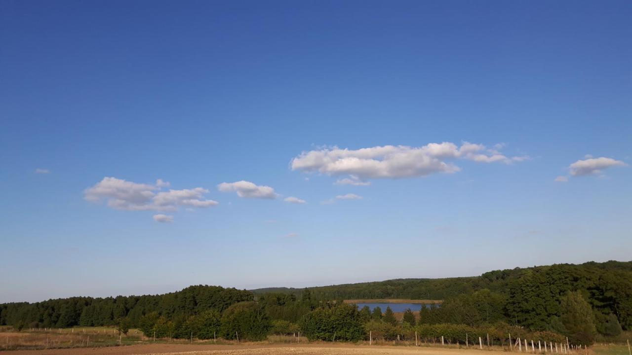 Domek Triftberg Villa Chojna Eksteriør bilde